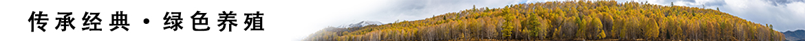 aaa